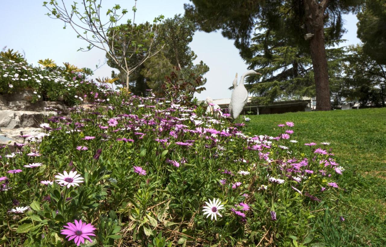 Hacienda Forest View Hotel Ma'alot-Tarshiha Eksteriør billede